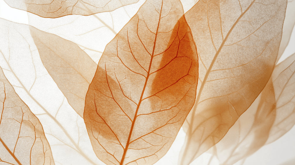 Copper abstract leaf design file showing detailed translucent botanical pattern