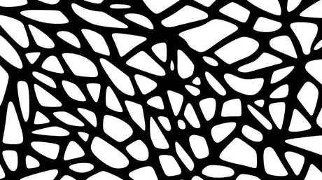 Black and White Geometric Pattern design file showing intricate web-like shapes and organic forms