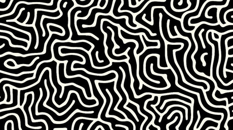 Abstract maze pattern wallpaper design file showing intricate black and white geometric details