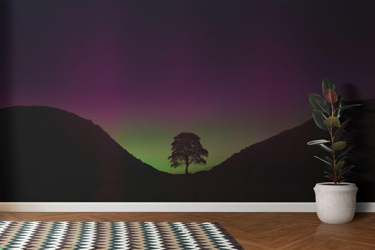 Aurora Borealis wallpaper mural shown in a modern living room, green and purple northern lights dancing above mountains