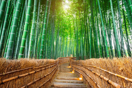 Bamboo forest design file showing detailed Japanese garden path pattern