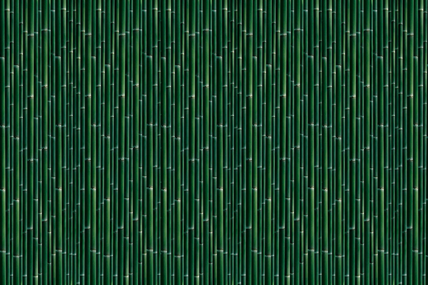 Design file showing detailed bamboo pattern with rich emerald tones and natural textures