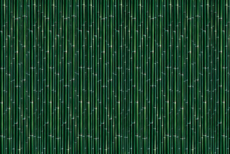 Design file showing detailed bamboo pattern with rich emerald tones and natural textures