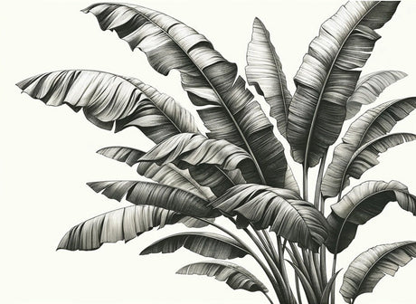 Detailed black and white botanical banana leaf pattern design file showing intricate line work and shading
