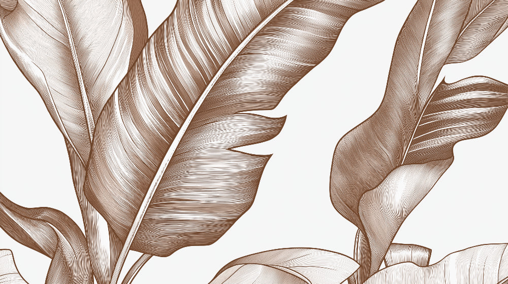 Banana leaf line art wallpaper design file showing detailed brown botanical pattern on white background