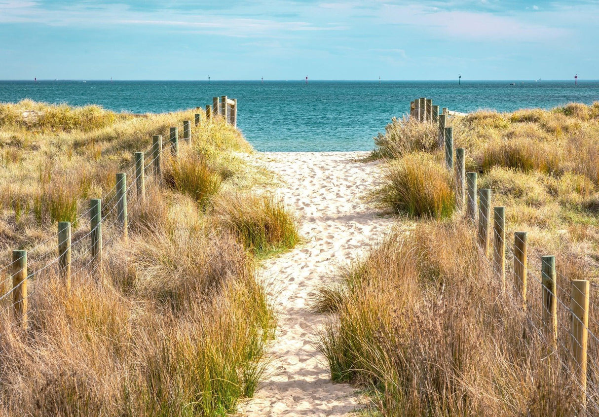 Beach path to turquoise ocean design file showing full wall mural pattern