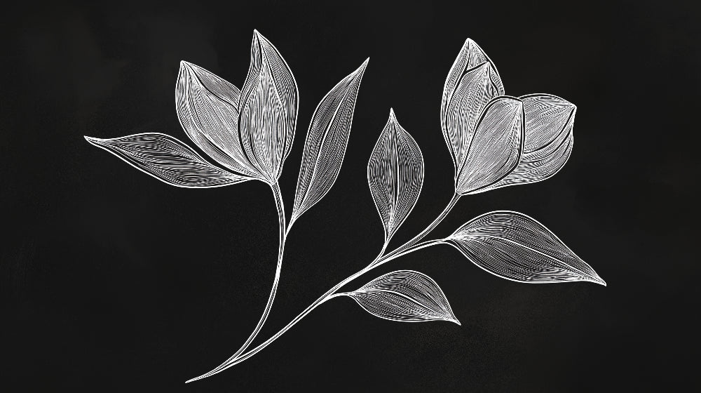 Botanical line art wallpaper design file showing intricate black and white leaf pattern