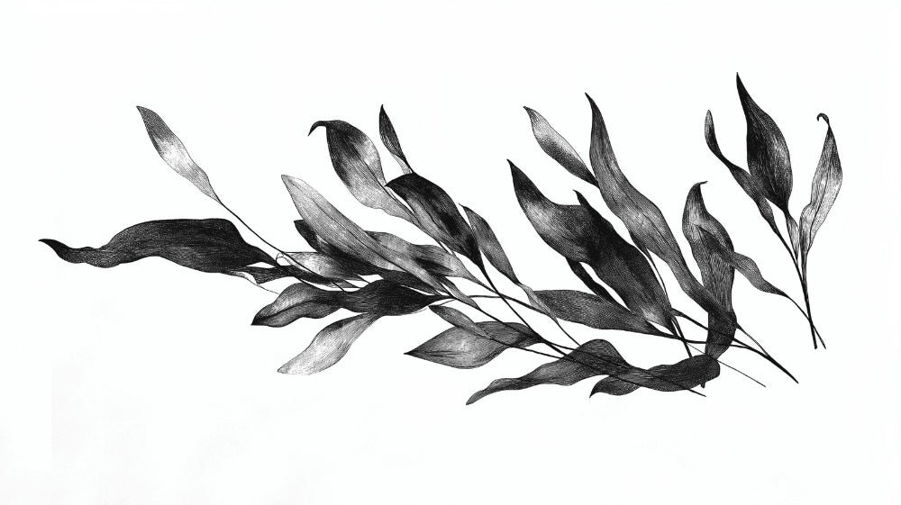 Black and white botanical wall mural creating depth in a modern living room with gray sofa and natural light