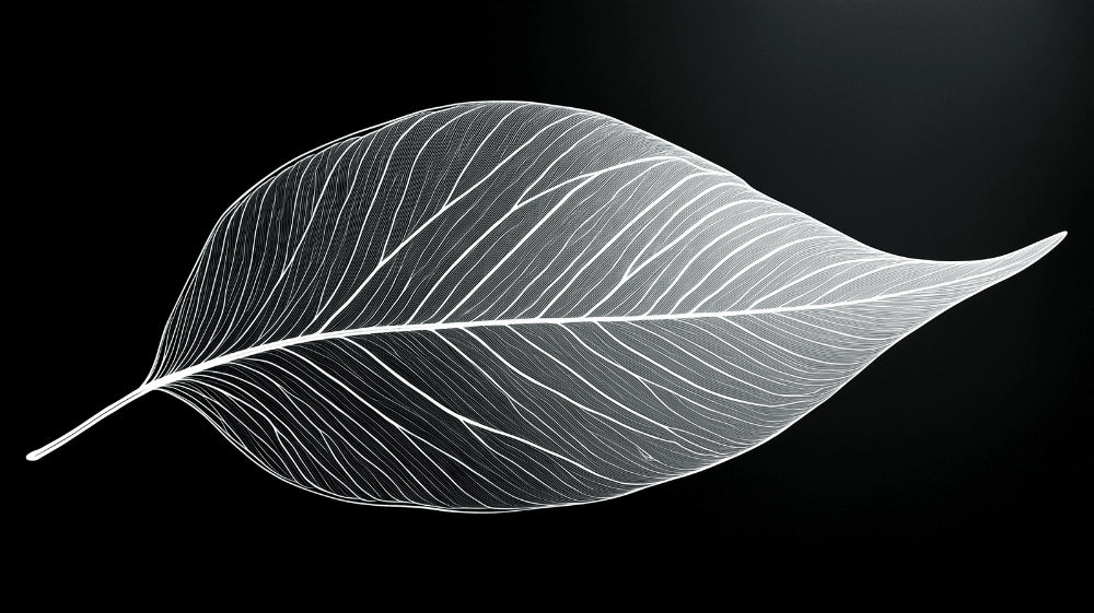 Black and white leaf line art design file showing intricate botanical pattern detail