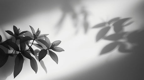 Black and white leaf shadow design file showing detailed botanical pattern