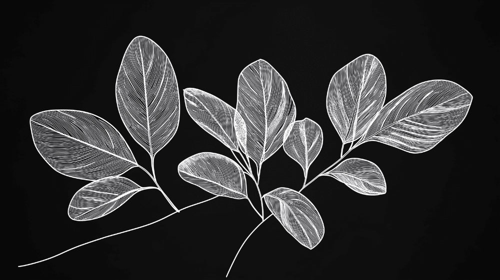 Black and white leaf pattern design file showing intricate botanical line art detail