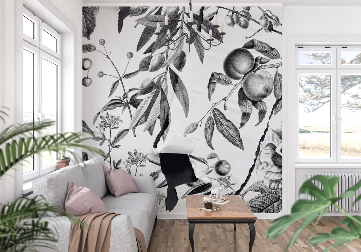 Botanical wall mural creating an elegant dining room feature wall with black and white vintage fruit design
