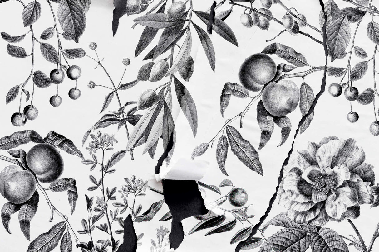 Design file showing detailed black and white vintage botanical fruit pattern