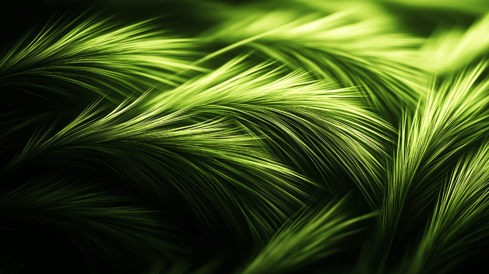 Green grass wallpaper design file showing detailed botanical pattern with flowing movement