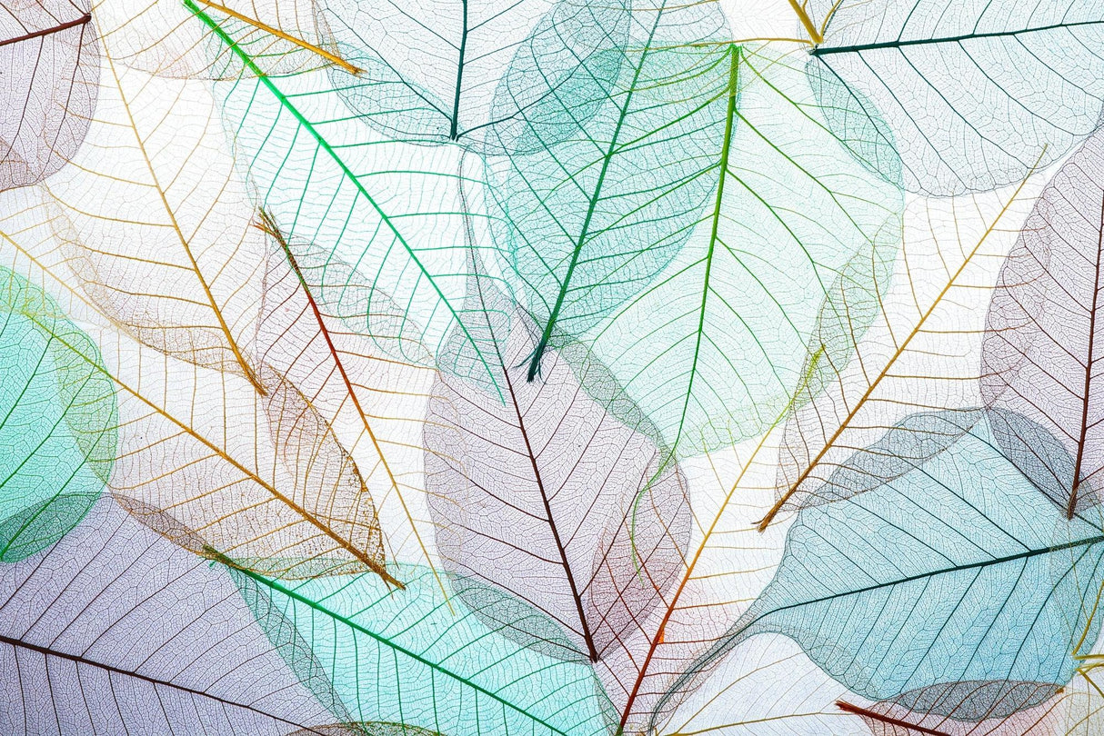 Detailed design file showing delicate transparent leaf pattern on white background