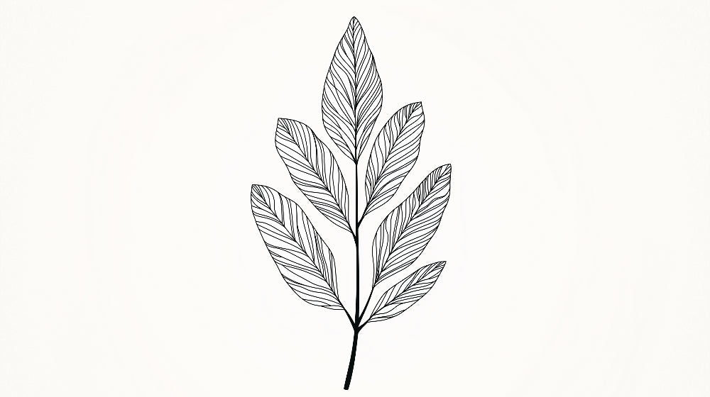 Minimalist botanical line art wallpaper design file showing detailed black leaf pattern on white background