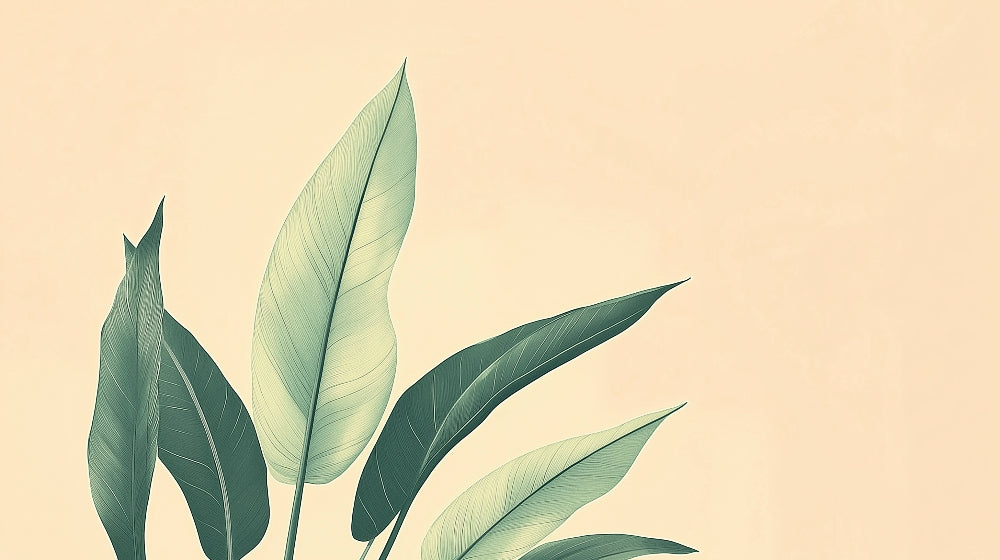 Minimalist green leaves design file showing detailed botanical pattern with natural shadows and textures