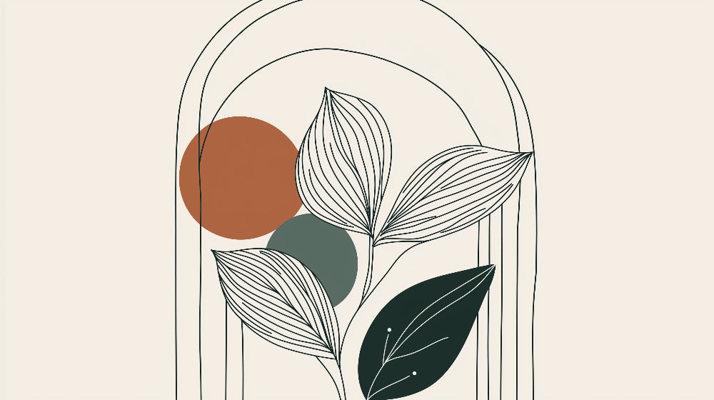 Modern botanical line art wallpaper with terracotta circles styled in a bright Scandinavian living room setting