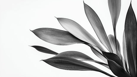 Monochrome botanical wallpaper design file showing detailed leaf pattern and texture