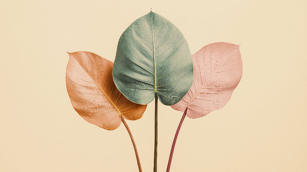 Botanical wall mural design file showing detailed pastel leaves pattern on warm beige background