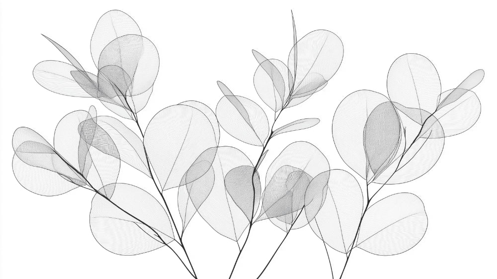 Botanical eucalyptus X-ray art wallpaper design file showing intricate leaf patterns and translucent details