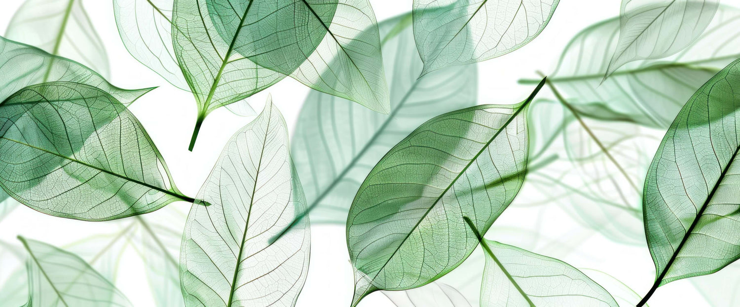 Botanical wallpaper design file showing detailed translucent green leaves pattern