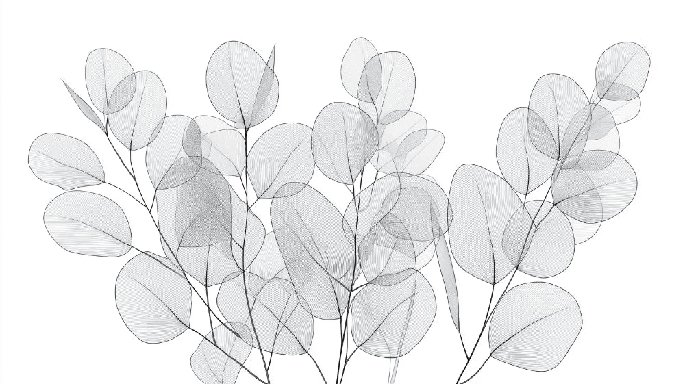 Transparent eucalyptus leaves design file showing delicate gray botanical pattern on white background