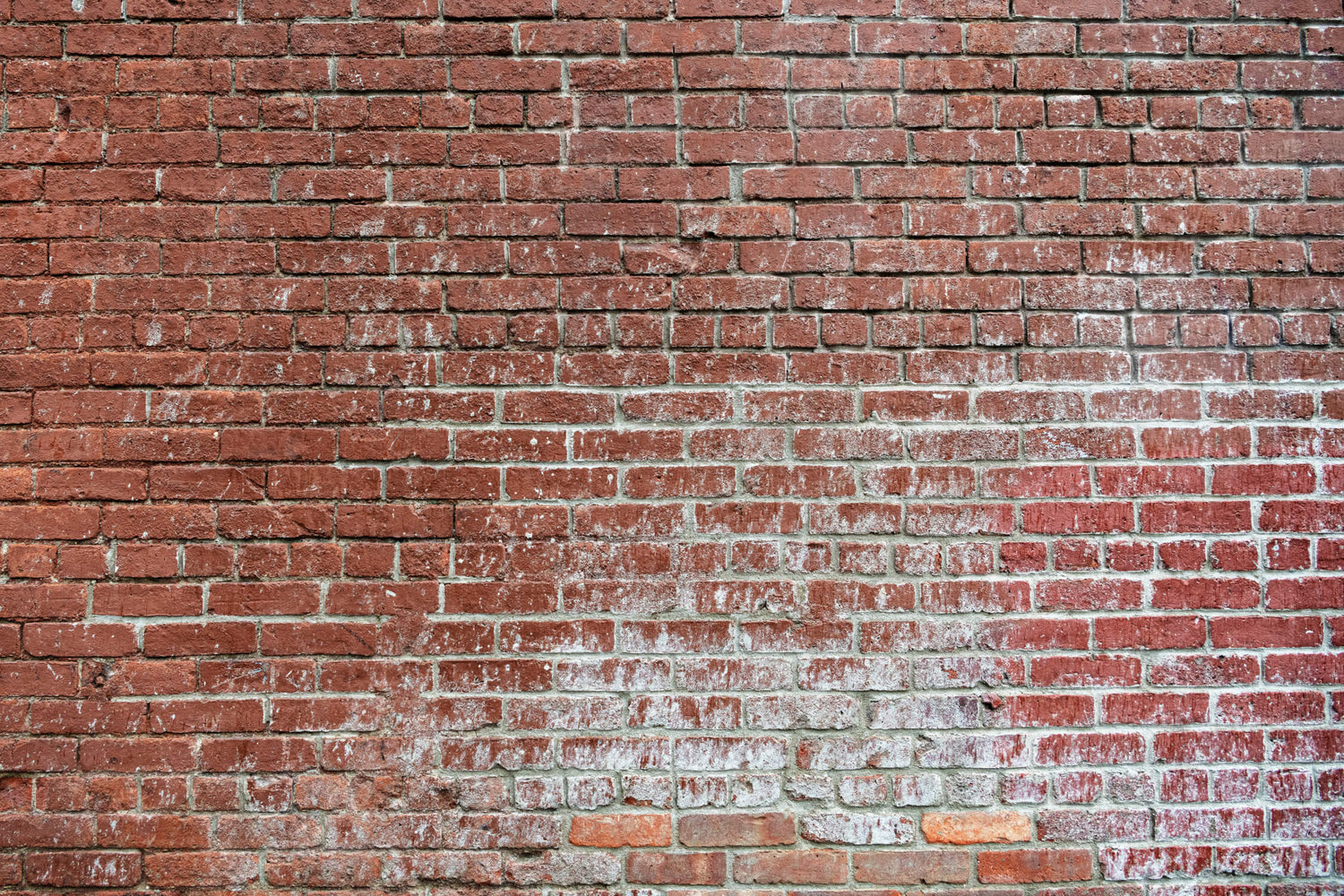 Red brick wallpaper design file showing detailed texture and weathered finish pattern