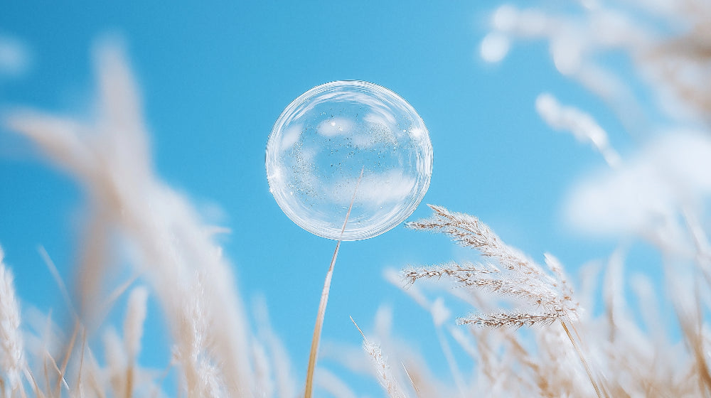 Dreamy sky and pampas grass design file showing detailed bubble pattern and natural textures