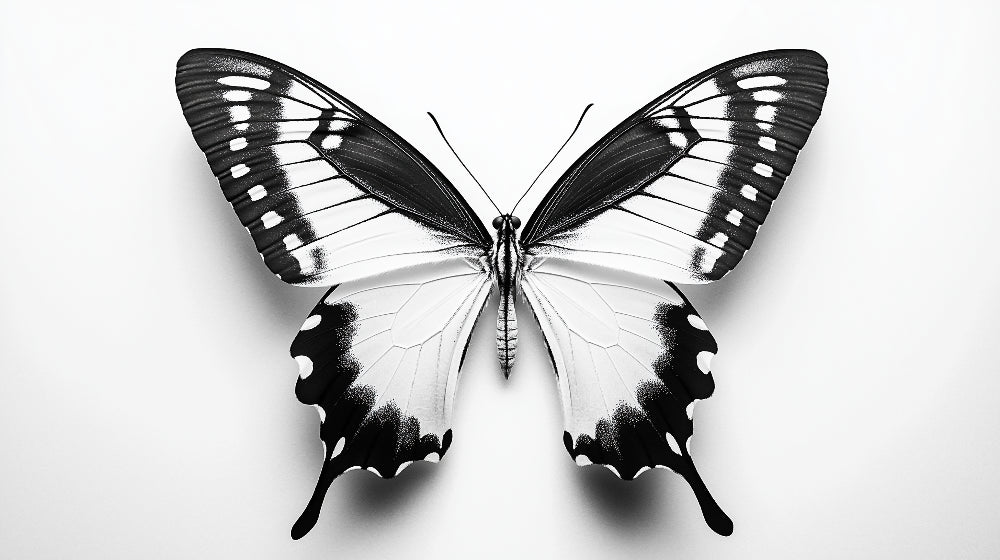 Monochrome butterfly wallpaper design file showing intricate wing pattern details