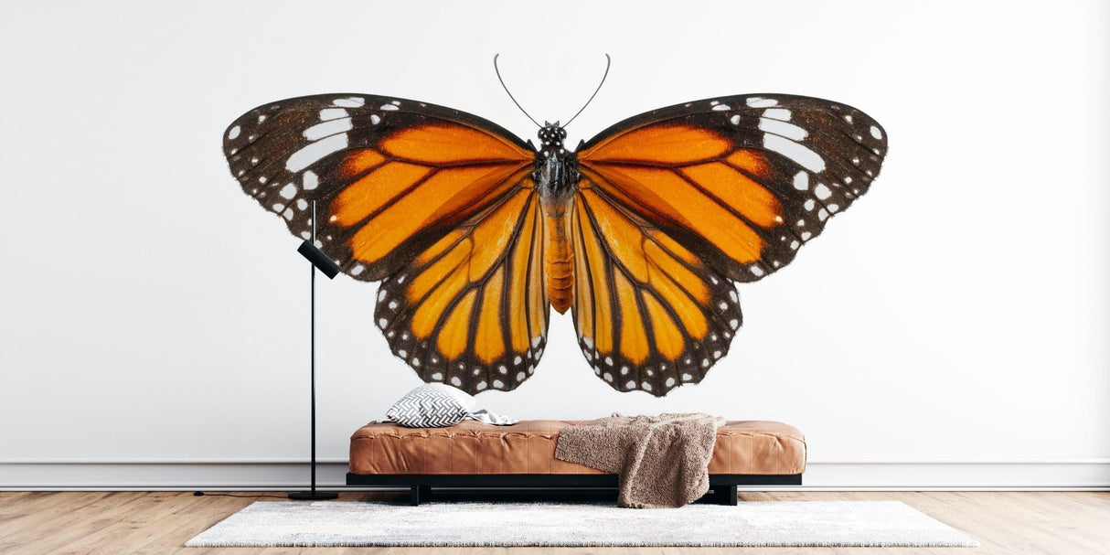 Beautiful Butterfly Wall Mural creates a peaceful atmosphere in a bright modern living room with natural light