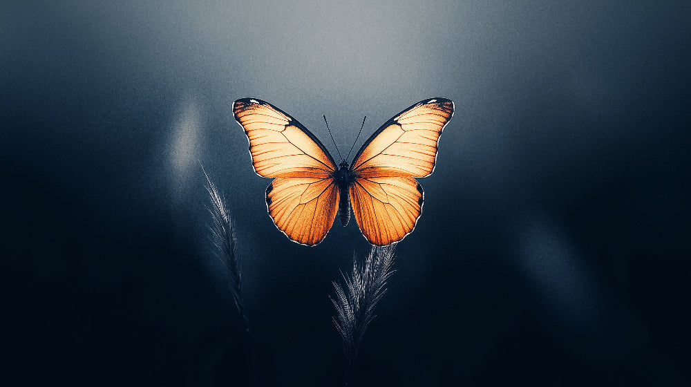Orange Monarch butterfly design file with intricate wing patterns on deep navy background