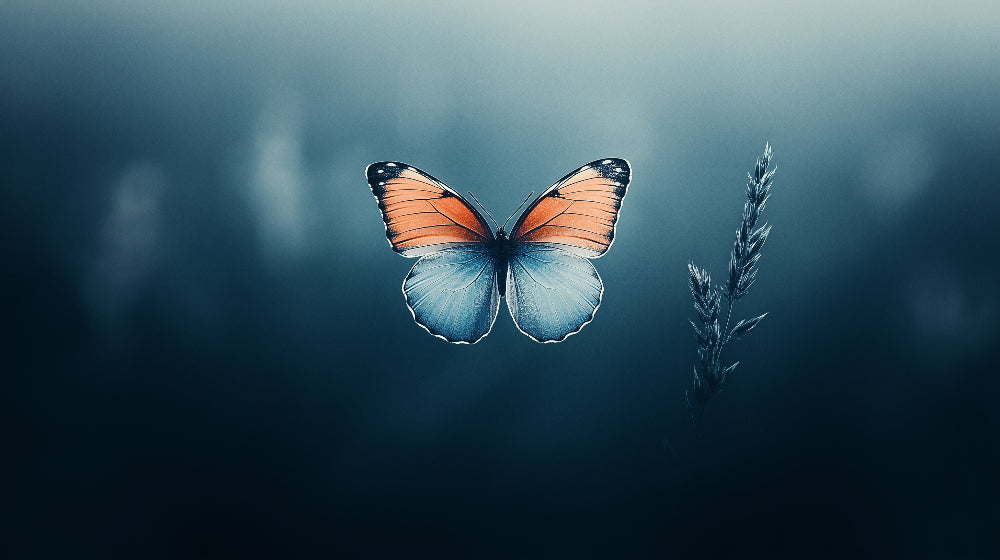 Butterfly Mural Wallpaper design file showing detailed orange and blue wing pattern