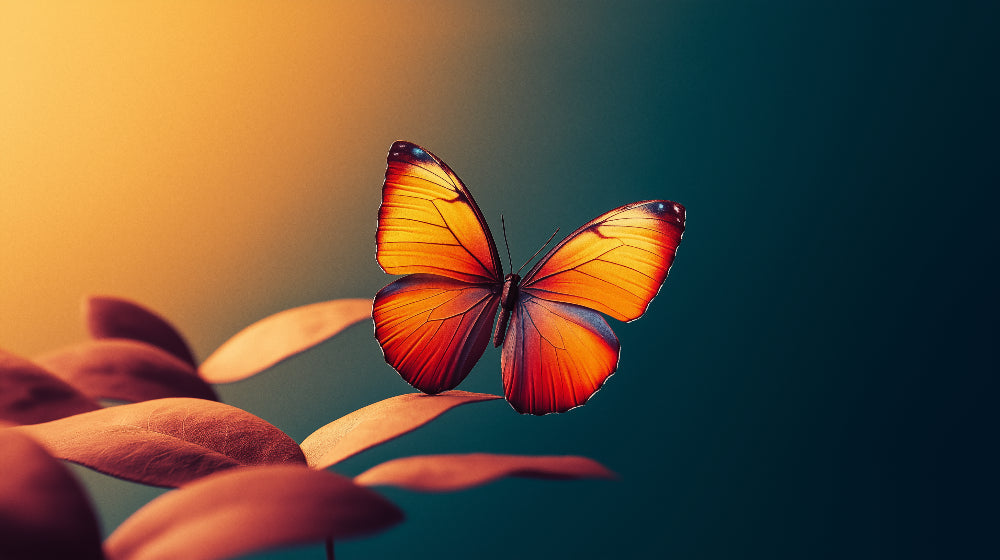 Monarch Butterfly Wallpaper design file showing intricate wing patterns and sunset gradient background