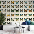 Butterfly wall mural displayed in a bright study room, showing detailed vintage specimens against a cream background