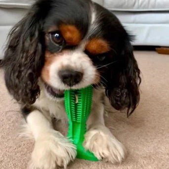 Dog Dental Care Toy  Natural Rubber Teeth Cleaning Chew - Product example