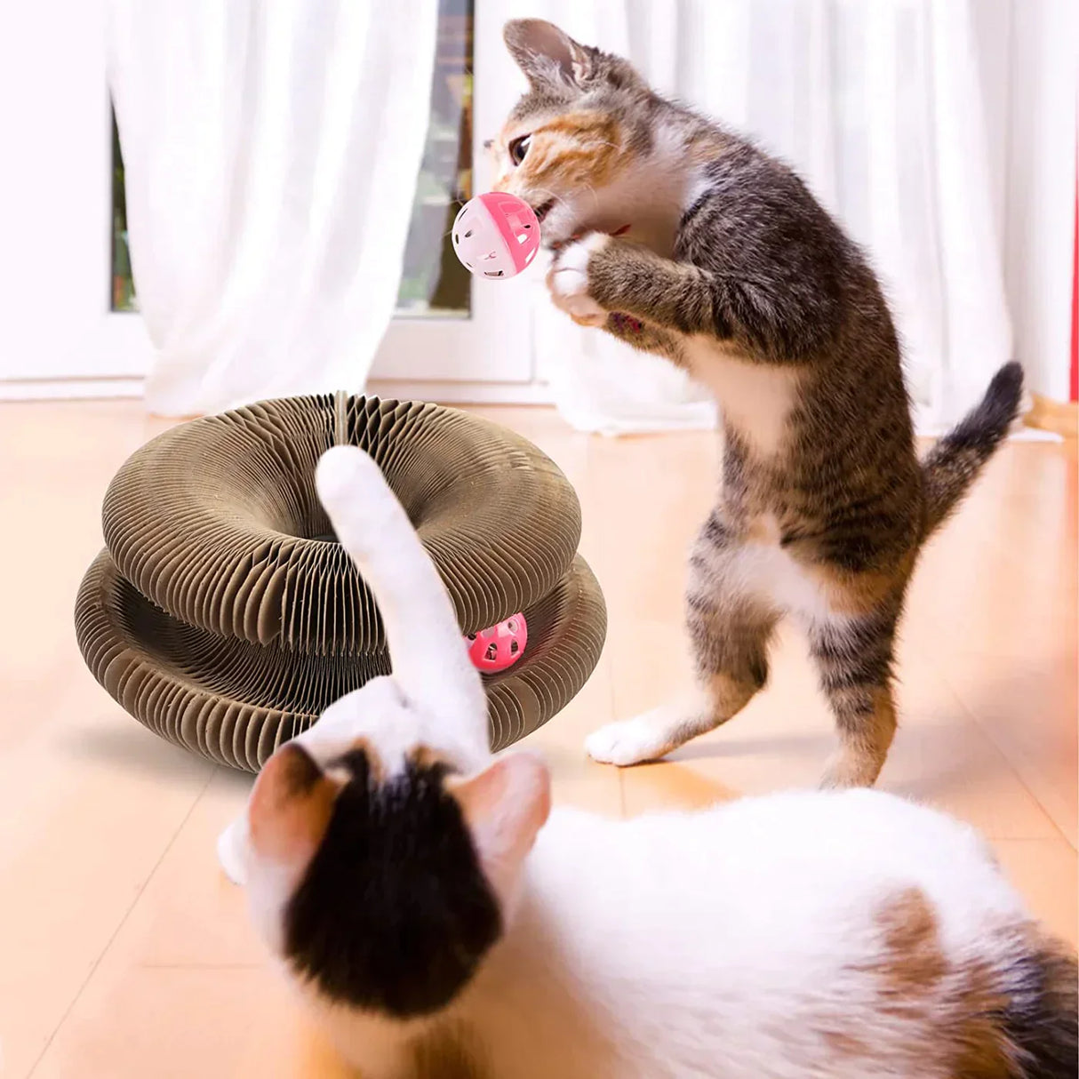 Interactive Cat Scratcher Toy  Collapsible Play Ring With Ball - Product example