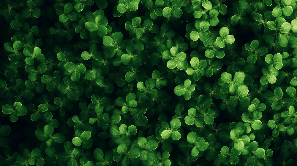 Vibrant green clover pattern design file showing detailed botanical leaf arrangement