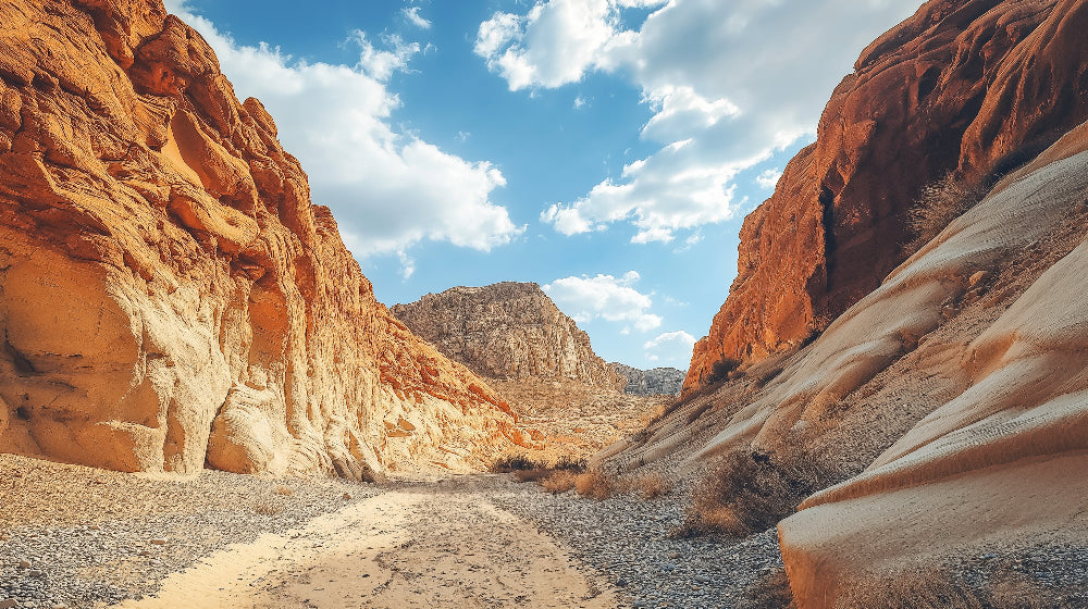 Desert canyon wallpaper design file showing detailed rock formations and natural textures