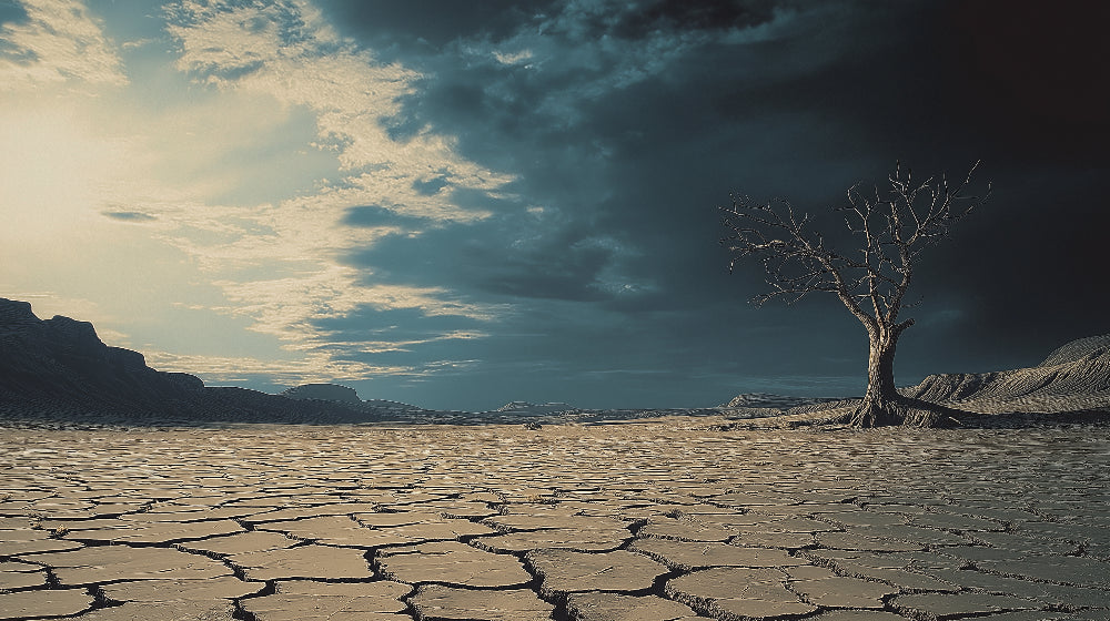 Desert cracked earth wallpaper design file showing detailed texture and moody sky