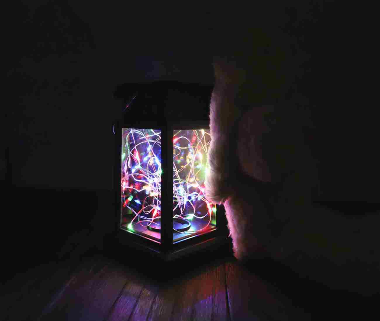 Solar Garden Lantern  Multicolor LED String Light Display - Product showcase