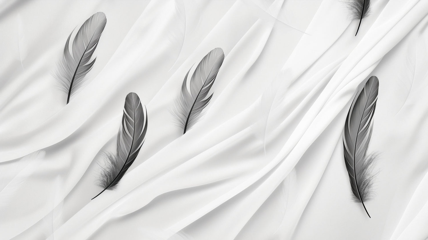 Black and white feather wallpaper design file showing detailed feather pattern on white background