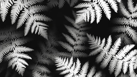 Black and white botanical fern wallpaper design file showing detailed pattern and texture