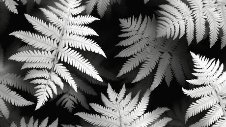 Monochrome botanical fern wallpaper design file showing intricate leaf pattern detail