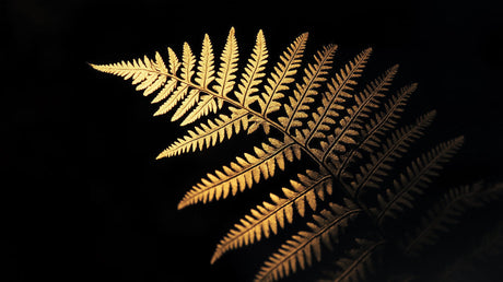 Black and gold fern wallpaper design file showing detailed botanical pattern