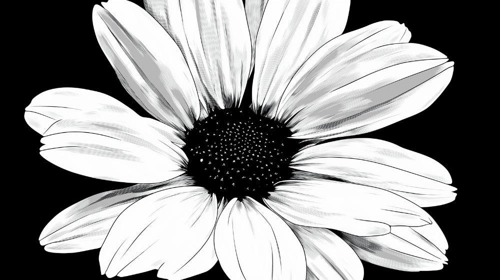 Black and white daisy wallpaper design file showing detailed flower pattern and texture