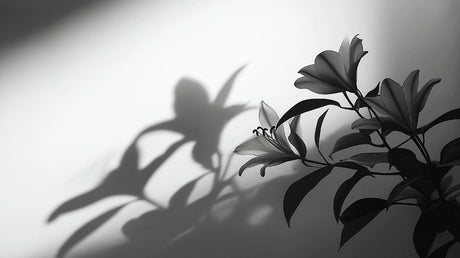 Black and white floral shadow art wallpaper design file showing intricate botanical pattern detail