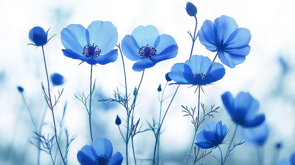 Blue Anemone Floral Wallpaper creating a peaceful atmosphere in a bright modern bedroom with natural light