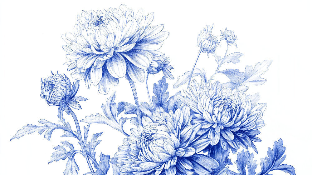 Blue Chrysanthemum wallpaper design file showing detailed botanical pattern and intricate petal work