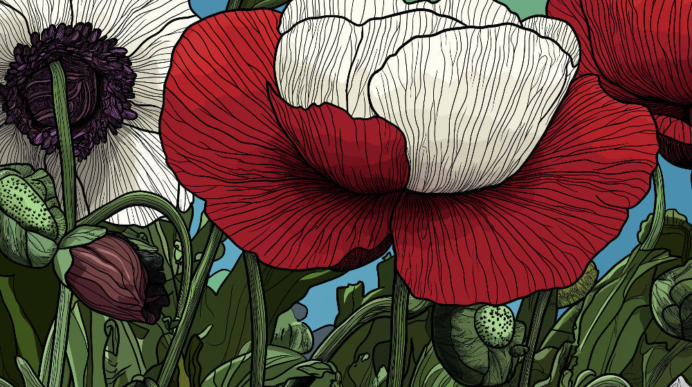 Large red and white poppies wallpaper design file showing intricate floral pattern details